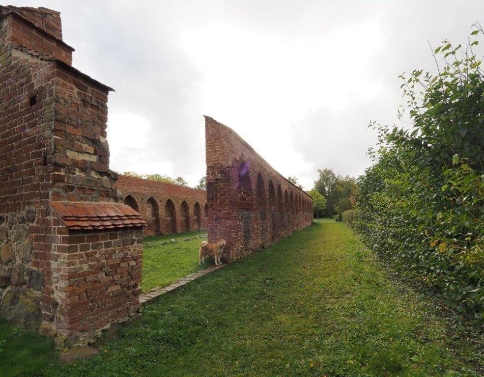Klosterblick Bad Doberan Εξωτερικό φωτογραφία